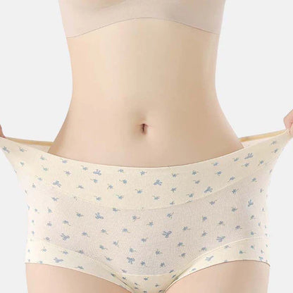 Womens Soft Comfort High-Waist Briefs