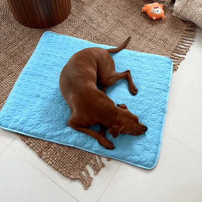🔥🔥Hot Sale 🧊Dog Cooling MatInstant coolness! Cooling pads can prevent dangerous heat stress.