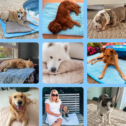 🔥🔥Hot Sale 🧊Dog Cooling MatInstant coolness! Cooling pads can prevent dangerous heat stress.